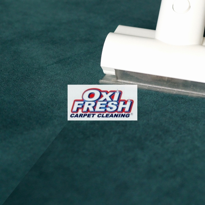 carpet and upholstery cleaner, upholstery cleaning services Marysville